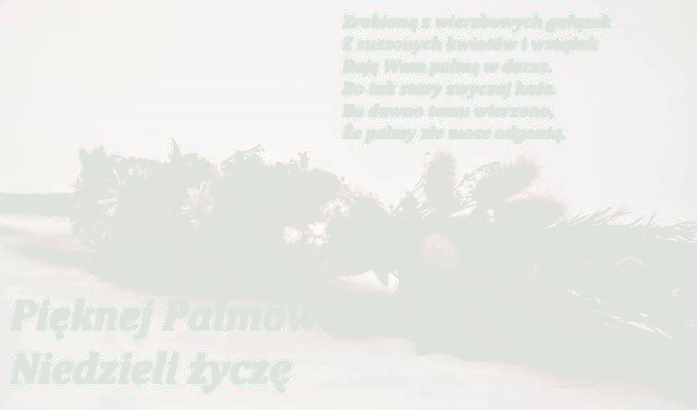 Palma wielkanocna i życzenia pięknej Palmowej Niedzieli